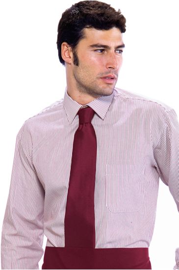 Cravatta classica - Isacco Bordeaux Isacco
